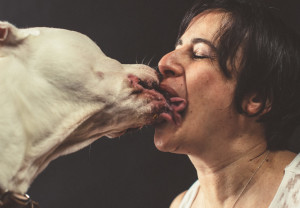 Kissing Dogs is Gross