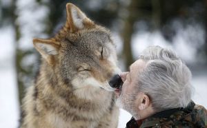 Wolf and man kissing - are pets slaves, or are we?