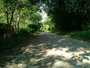 A typical road in the village